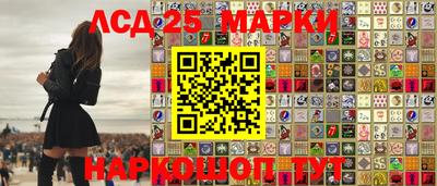 прущие грибы Ирбит